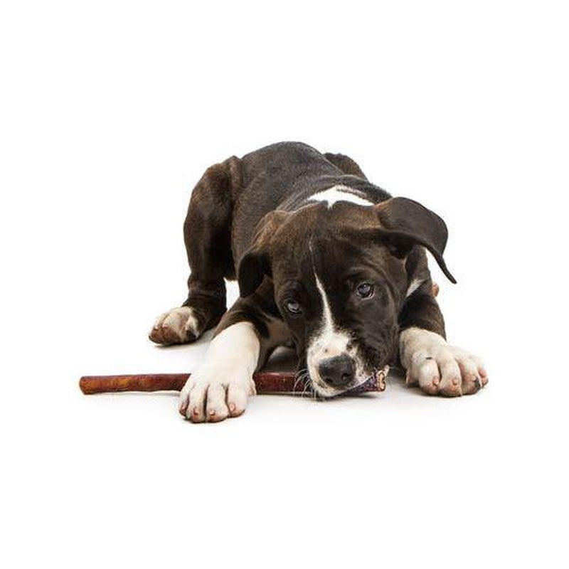 Jack & Pup 12 Inch Bully Stick 3 Pack